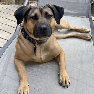 Fundraising Page: Barbara Coen